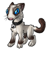lythesaur_snowshoe_cat.png