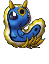 nudibranch_quaventa_sea_clown.png