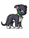 amstaf_menmo_black.png
