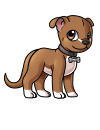 amstaf_menmo_brown.png