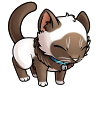 kitty_kitzi_long_haired_siamese.png