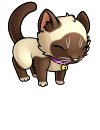 kitty_kitzi_siamese.png